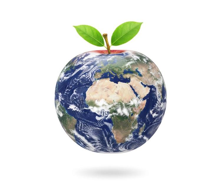 Reduce waste illustration